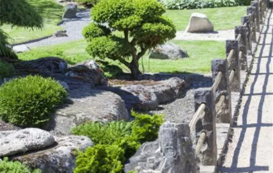 Der Japanische Garten - Idylle im Einklang