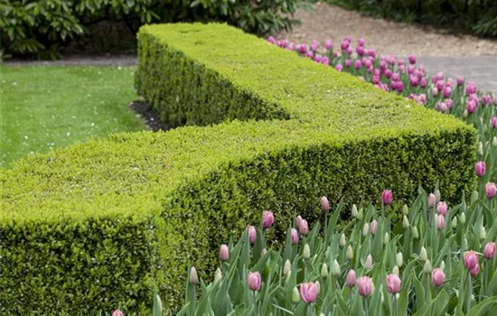 Gartenräume optimal gestalten