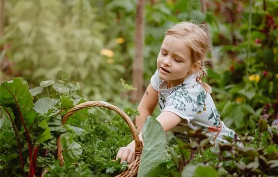 Jetzt kann geerntet werden! Kinder spielerisch einbeziehen